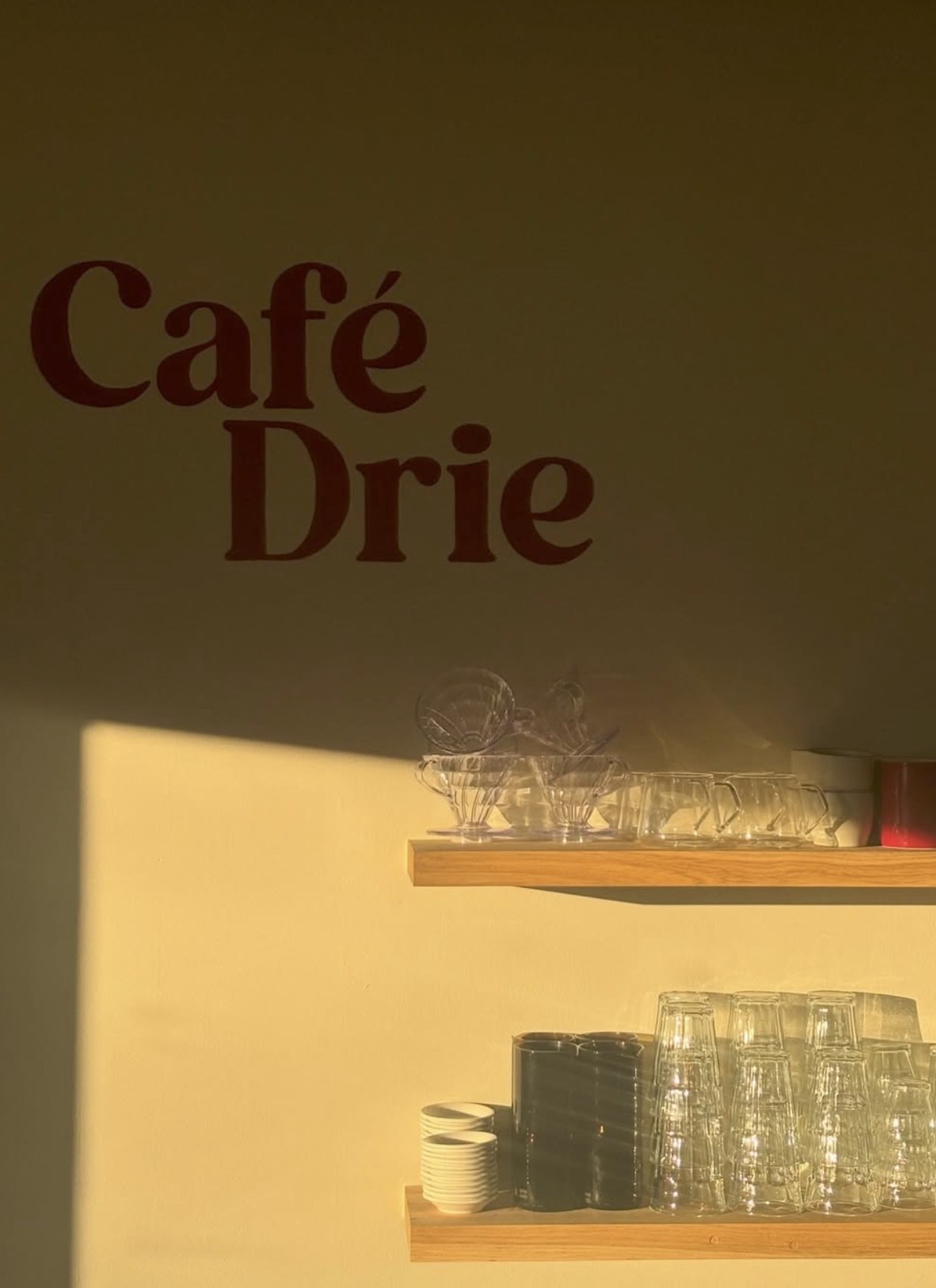The Café Drie wall logo lit by late sun, with V60 drippers, glassware and cups lined up on shelves below